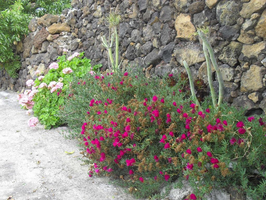 Casa Rural Abuelo Pancho Las Casas  Exteriér fotografie